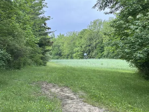 Exterior - 1687 Dimmers, Reading, MI 49274 photo 10 of 22