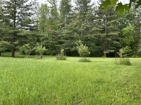Exterior - 1687 Dimmers, Reading, MI 49274 photo 16 of 22