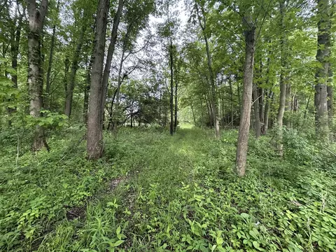 Other - 1687 Dimmers, Reading, MI 49274 photo 19 of 29