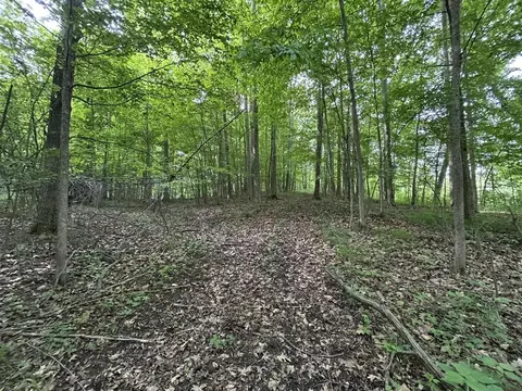 Exterior - 1687 Dimmers, Reading, MI 49274 photo 18 of 22