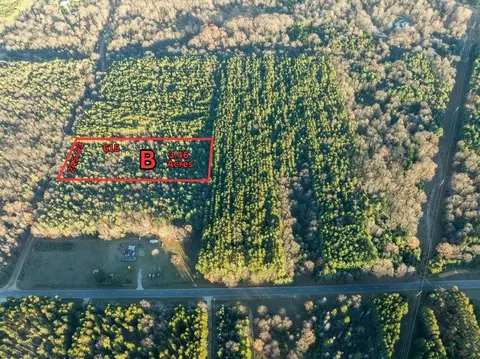 Parcel B Scout Road, Mears, MI 49436