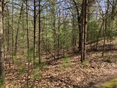 Lenox, Pentwater, MI 49449