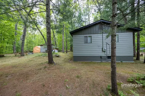 Exterior - 9134 39th, Bitely, MI 49309 photo 11 of 12