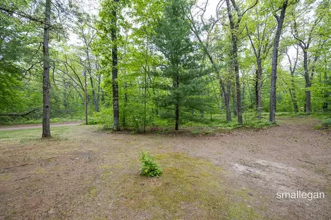 Exterior - 9134 39th, Bitely, MI 49309 photo 10 of 12