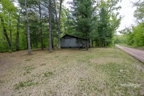 Exterior - 9134 39th, Bitely, MI 49309 photo 12 of 12