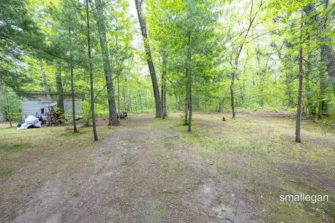 Exterior - 9134 39th, Bitely, MI 49309 photo 6 of 12