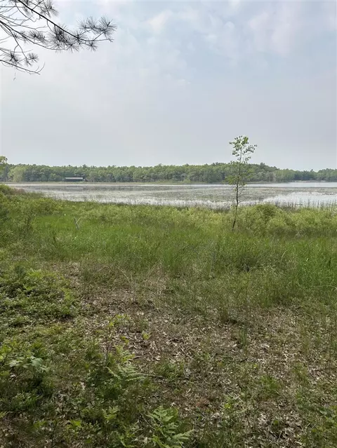Forest, Twin Lake, MI 49457