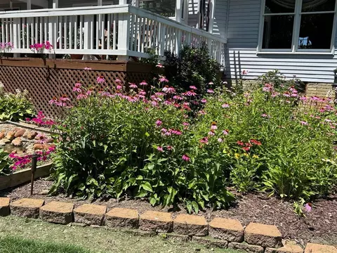 Other - 6676 Ralaric, Dexter, MI 48130 photo 15 of 16