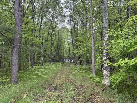 8073 W 10 12 Mile, Irons, MI 49644