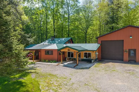 16545 Lonesome Trl, Leroy, MI 49655