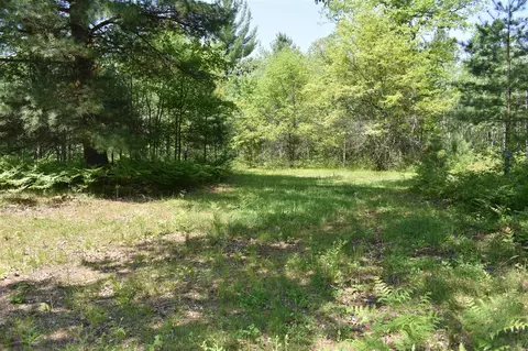 22406 E Riv, Harrietta, MI 49638 photo 46