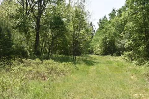22406 E Riv, Harrietta, MI 49638 photo 45