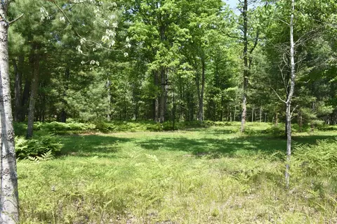 22406 E Riv, Harrietta, MI 49638 photo 52