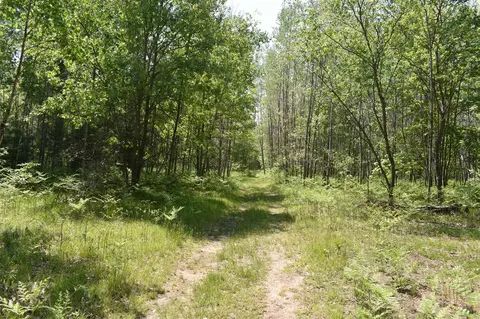 22406 E Riv, Harrietta, MI 49638 photo 47