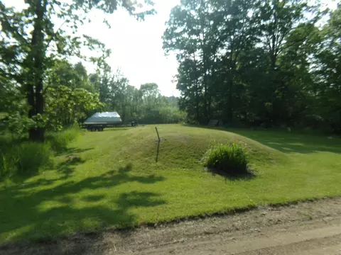 2005 Hemlock, Quincy, MI 49082 photo 24