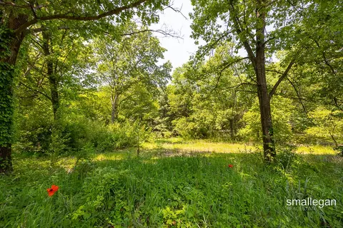 13390 Stacey, Greenville, MI 48838