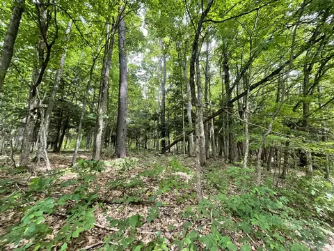 6288 E 22 12, Manton, MI 49663