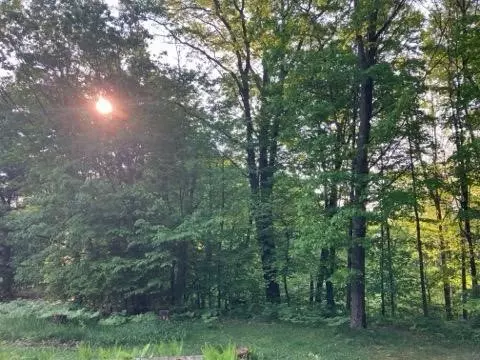 4520 W Arrowhead, White Cloud, MI 49349 photo 29