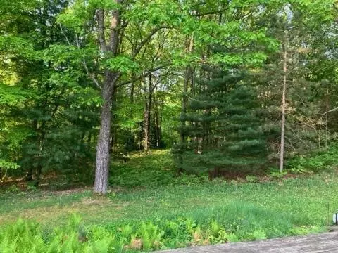 4520 W Arrowhead, White Cloud, MI 49349 photo 2
