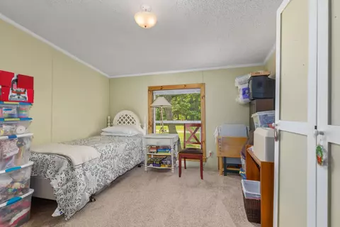 3858 S Chestnut, Newaygo, MI 49337 photo 13