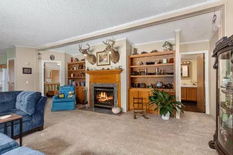 3858 S Chestnut, Newaygo, MI 49337 photo 5