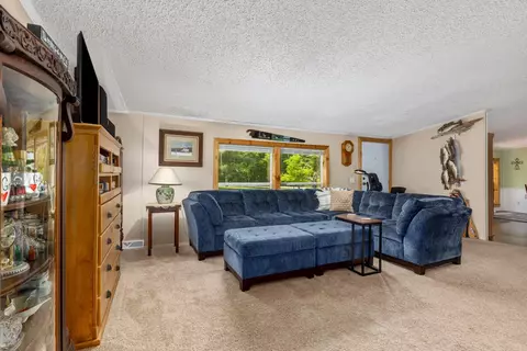 3858 S Chestnut, Newaygo, MI 49337 photo 6