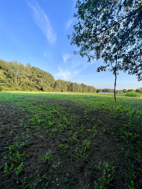 Other - 821 W Baseline, Plainwell, MI 49080 photo 3 of 6