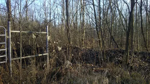 Stewart, Cassopolis, MI 49031 photo 2