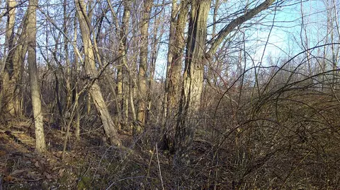 Stewart, Cassopolis, MI 49031 photo 3