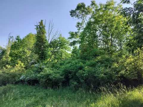 VL 56th #B, Fennville, MI 49408