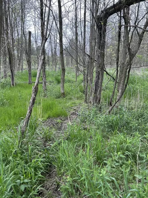 Cunningham Lot 1, Freeport, MI 49325 photo 12