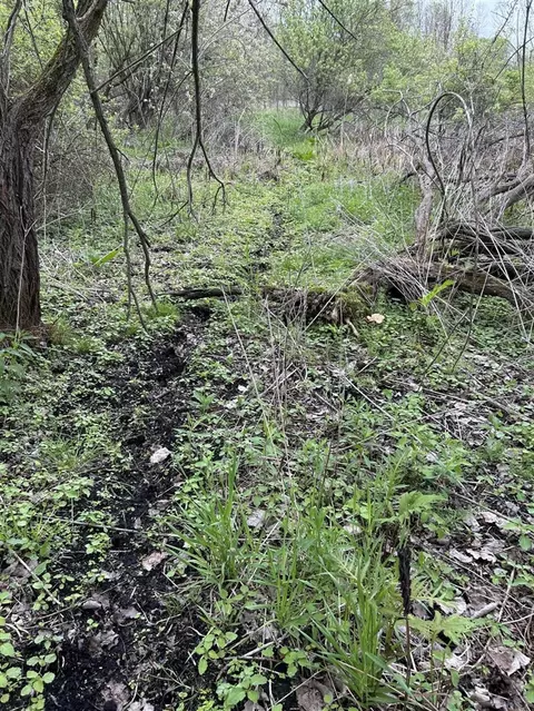 Cunningham Lot 1, Freeport, MI 49325 photo 17