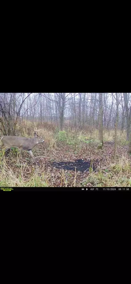 Cunningham Lot 1, Freeport, MI 49325 photo 22