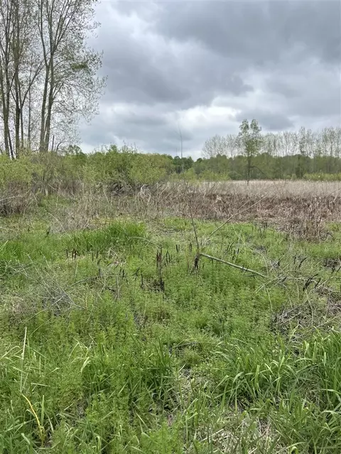 Cunningham Lot 1, Freeport, MI 49325 photo 2