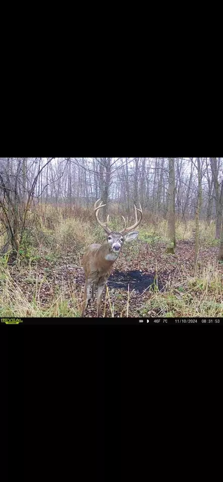Cunningham Lot 1, Freeport, MI 49325 photo 23