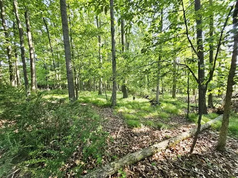 Exterior - 9159 Moreland, Jerome, MI 49249 photo 33 of 33