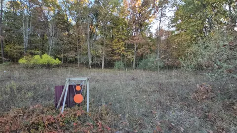 Exterior - 9159 Moreland, Jerome, MI 49249 photo 7 of 33
