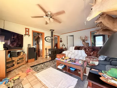 Living - 9159 Moreland, Jerome, MI 49249 photo 7 of 7