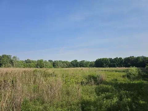 Other - 9159 Moreland, Jerome, MI 49249 photo 41 of 48