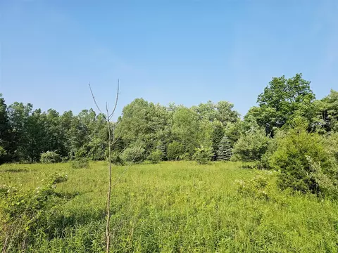 Other - 9159 Moreland, Jerome, MI 49249 photo 21 of 48