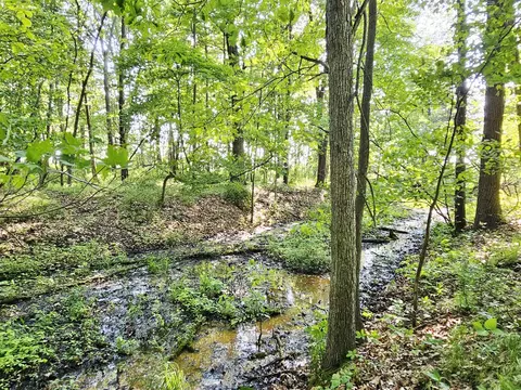 Other - 9159 Moreland, Jerome, MI 49249 photo 26 of 48