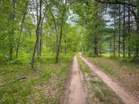 S Black Cherry, Baldwin, MI 49304 photo 15