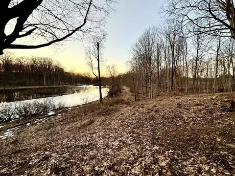 15326 Madron Lk, Buchanan, MI 49107