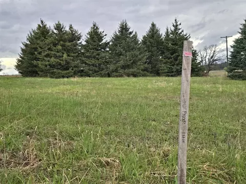 6336 Mast, Dexter, MI 48130 photo 5