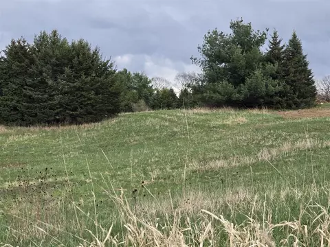 6336 Mast, Dexter, MI 48130 photo 9