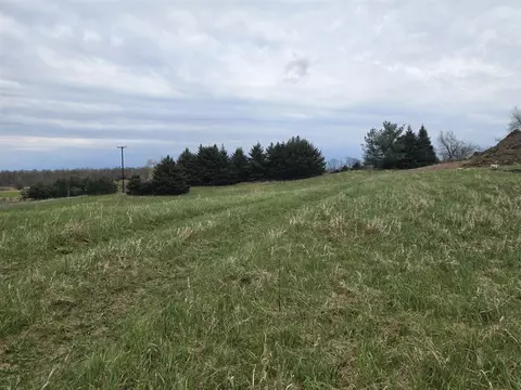 6336 Mast, Dexter, MI 48130 photo 3