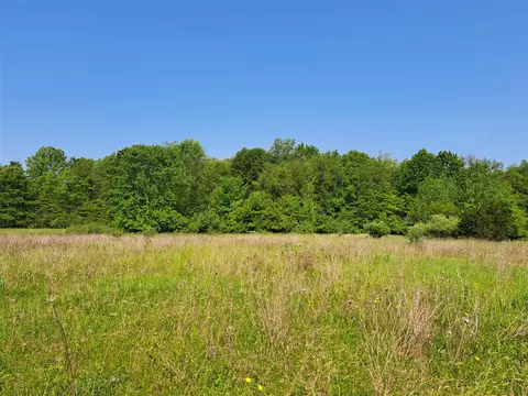 2 Acres Vl 36th, Gobles, MI 49055 photo 3