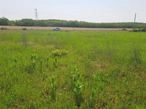 2 Acres Vl 36th, Gobles, MI 49055 photo 4