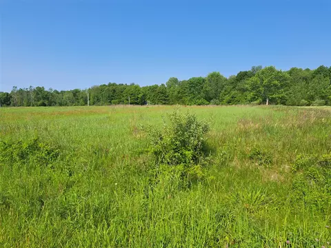 2 Acres Vl 36th, Gobles, MI 49055 photo 2