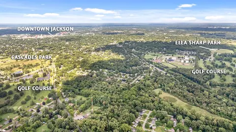 1603 Park, Jackson, MI 49203 photo 41